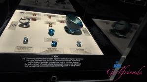 Cecelia Taylor Natural History Museum Part 1